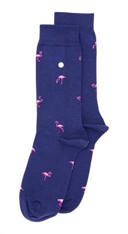 Alfredo Gonzales Flamingos Navy