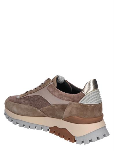 Floris van Bommel SFW-10100 01.01 Taupe G Wijdte