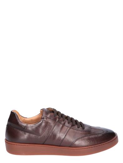 Rossano Bisconti 787-01 Brown