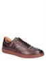 Rossano Bisconti 787-01 Brown