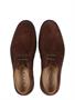 Tods Desert Boots in Suede Brown