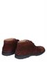 Tods Desert Boots in Suede Brown