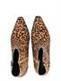 Vivian Ray Vieve Camel Pony Leopard