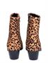 Vivian Ray Vieve Leopard